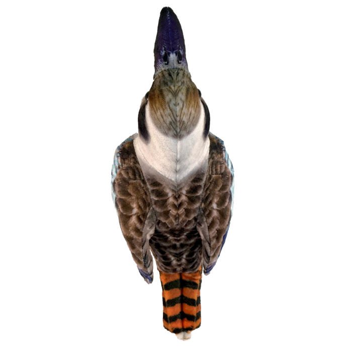 33b001045294007b4c0dba5a89131265.png
