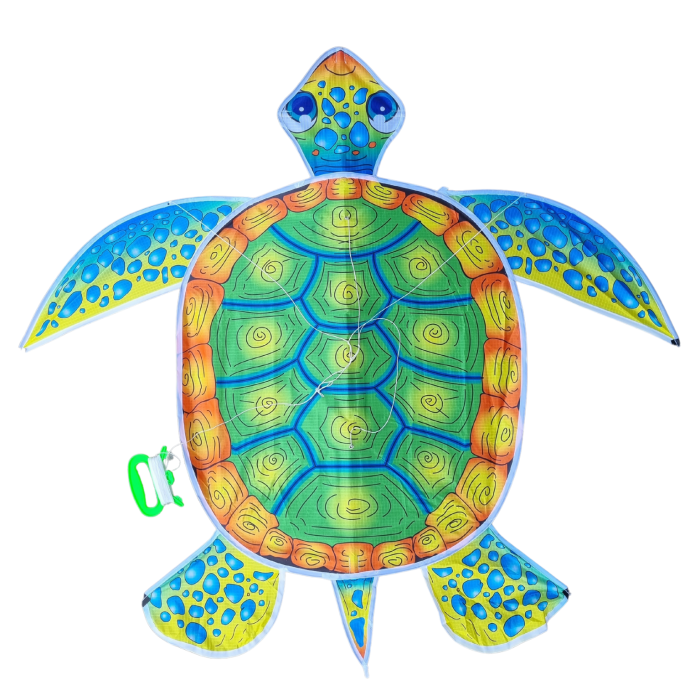b40476ccbf0e9d6bc19ed86151a56818.png