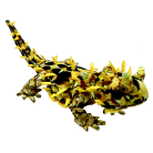 bc492ac2dc22052efae88d790308a7b5.png