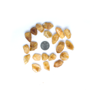 1425728bdf0e81aa7ee62d57d76ed36e.png