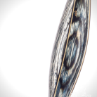 a94d60febccfcea916337183572ee43c.png