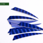 3d395fa0298407f1b43b8ce0f031f08f.png